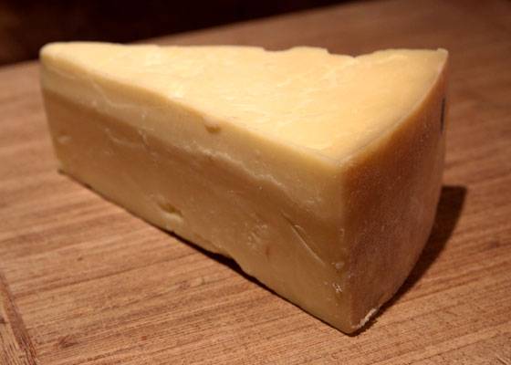 Сыр Под Микроскопом Фото