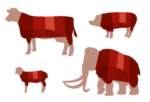 meat-cuts-2